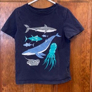 Marine life t-shirt Olson Navy 4T